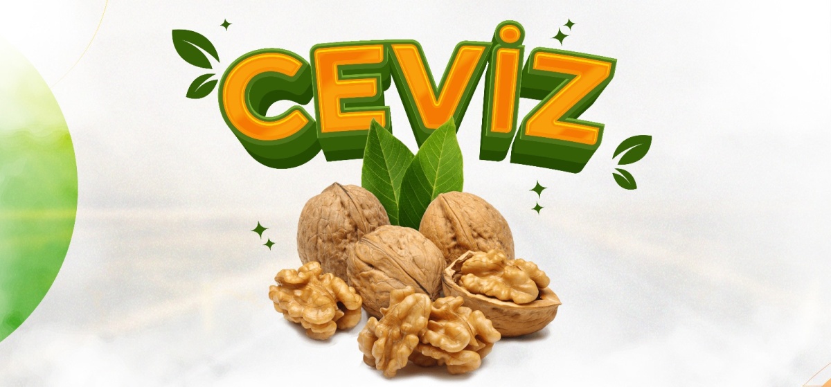 Ceviz