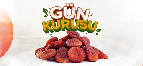 Gün Kurusu Kayısı